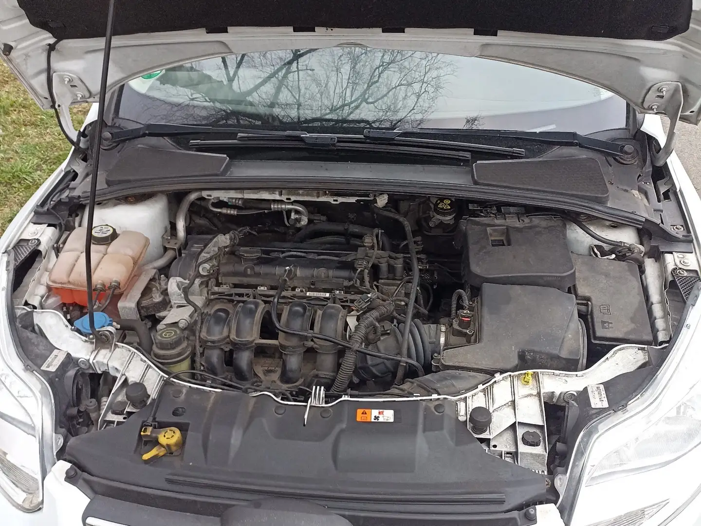 Ford Focus 1.6 16V Viva I - 2