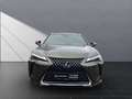 Lexus UX 250h 250h*STYLE*1HD* 15J-GARANTIE Yeşil - thumbnail 8