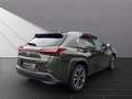 Lexus UX 250h 250h*STYLE*1HD* 15J-GARANTIE Yeşil - thumbnail 5