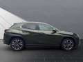 Lexus UX 250h 250h*STYLE*1HD* 15J-GARANTIE Yeşil - thumbnail 6