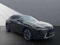 Lexus UX 250h 250h*STYLE*1HD* 15J-GARANTIE Yeşil - thumbnail 7