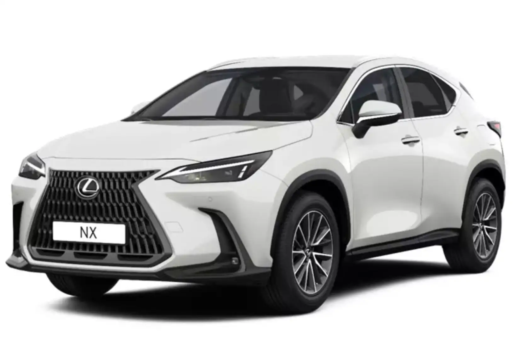 Lexus NX 350h Business Line *Business Connect Paket* Білий - 1