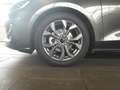 Ford Focus Turnier ST-Line X AHK TWA el Heckkl. uvm Gri - thumbnail 6