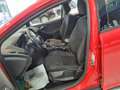 Ford Focus 1.0 Ecoboost Auto-S&S Trend+ 125 Rojo - thumbnail 14