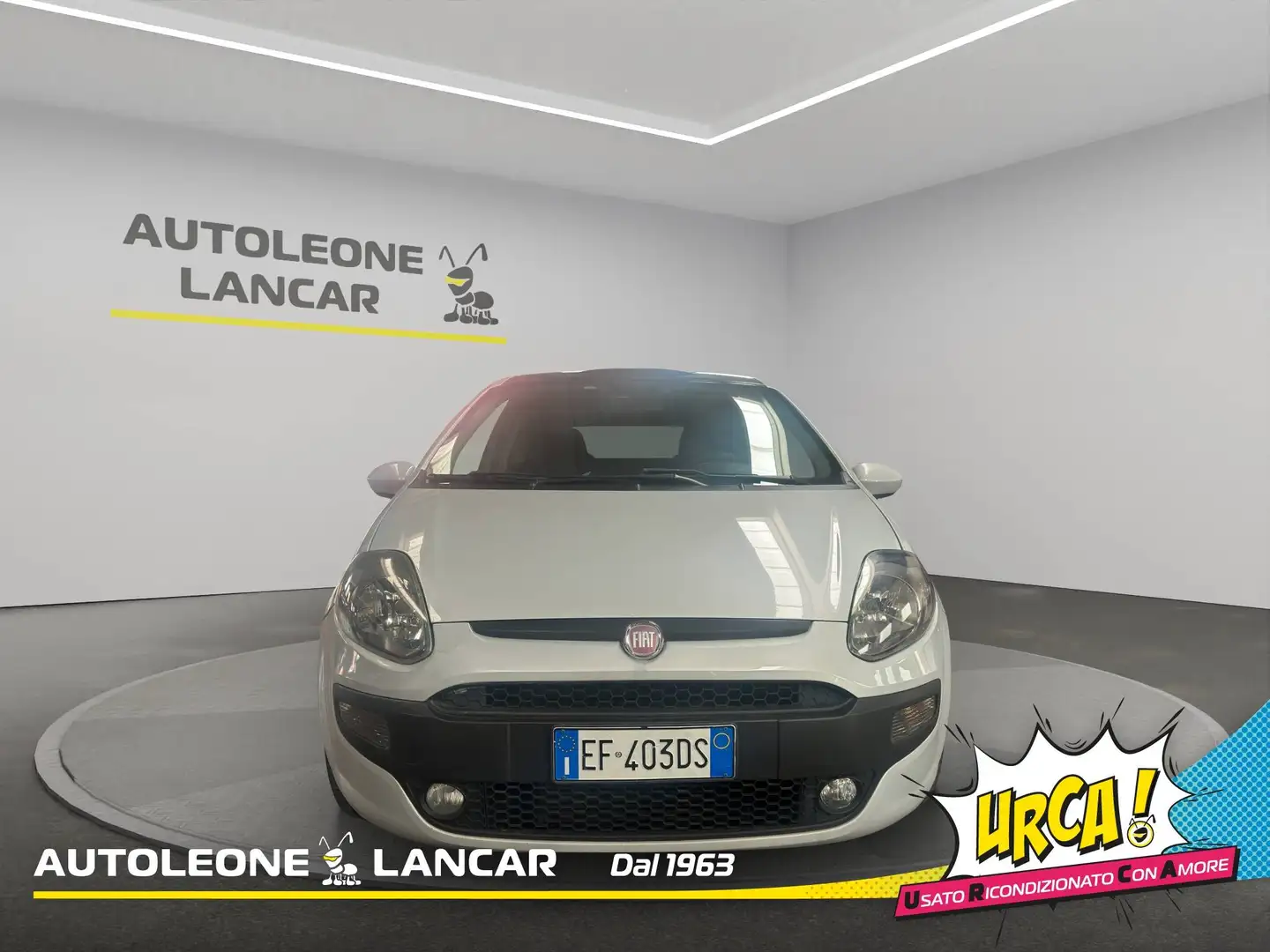 Fiat Punto Evo 3p 1.3 mjt Sport 95cv 5 Posti Blanc - 2