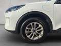 Ford Kuga 2.5 Duratec PHEV TITANIUM Weiß - thumbnail 17