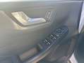 Ford Kuga 2.5 Duratec PHEV TITANIUM Weiß - thumbnail 12