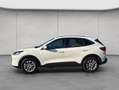 Ford Kuga 2.5 Duratec PHEV TITANIUM Weiß - thumbnail 2