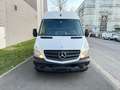 Mercedes-Benz Sprinter Hochraum-Kasten 313 CDI TSG 1 Hand Alb - thumbnail 5