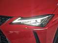 Lexus UX 250h 2.0 Business Rojo - thumbnail 34