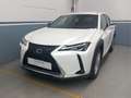 Lexus UX 250h 2.0 Hybrid Business Bianco - thumbnail 1