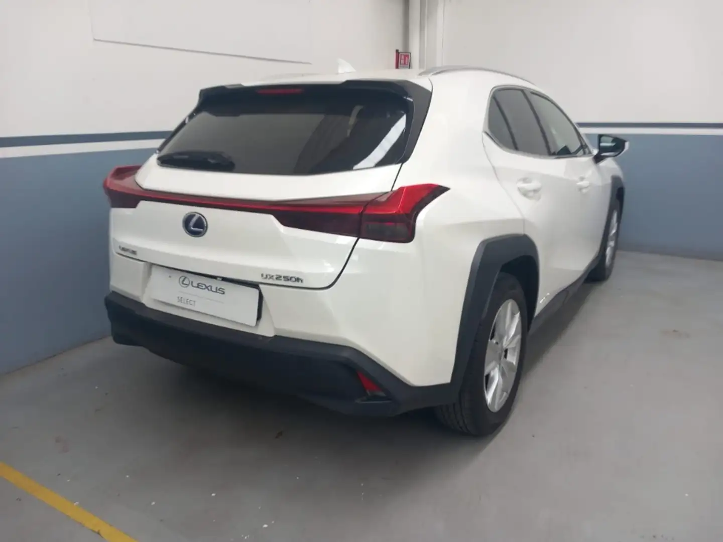 Lexus UX 250h 2.0 Hybrid Business Bianco - 2