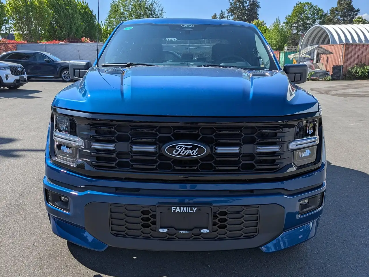 Ford F 150 снимка Ford F 150