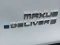 Maxus EDeliver5 Weiß - thumbnail 12
