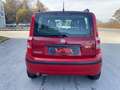 Fiat Panda 1.2 Dynamic "NEOPATENTATI" Rosso - thumbnail 5