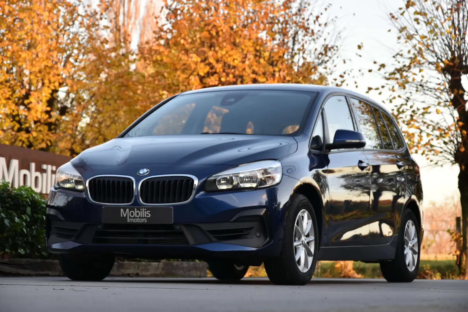 BMW 216 216i FACELIFT NaviPro/ParkAssist/Trekhaak/Garantie Blau - 1