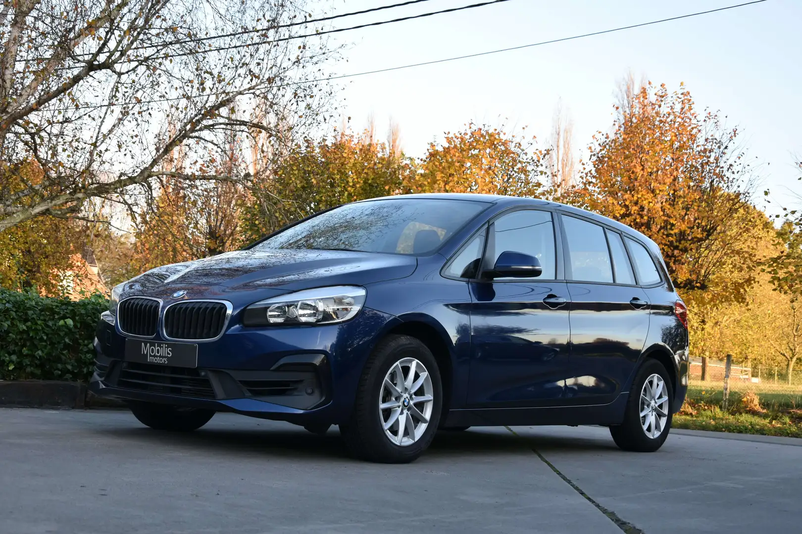 BMW 216 216i FACELIFT NaviPro/ParkAssist/Trekhaak/Garantie Blau - 2