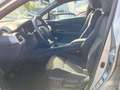Toyota C-HR C-LUB Grau - thumbnail 4