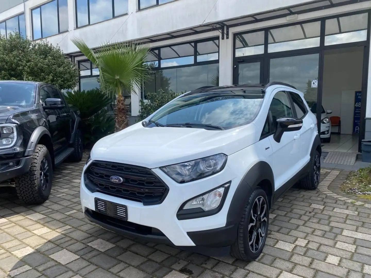 Ford EcoSport 1.0 ecoboost Active s Bianco - 2