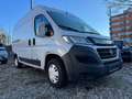Fiat Ducato Ducato 33 130, L2H2 mit Kühlung, Klimaanlage Weiß - thumbnail 1