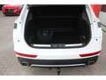 DS Automobiles DS 7 Hybrid4x4 300 PerfLine eSitz Kamera Navi eHk Blanc - thumbnail 7
