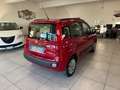Fiat Panda Panda III 2012 1.2 Pop 69cv Rosso - thumbnail 4