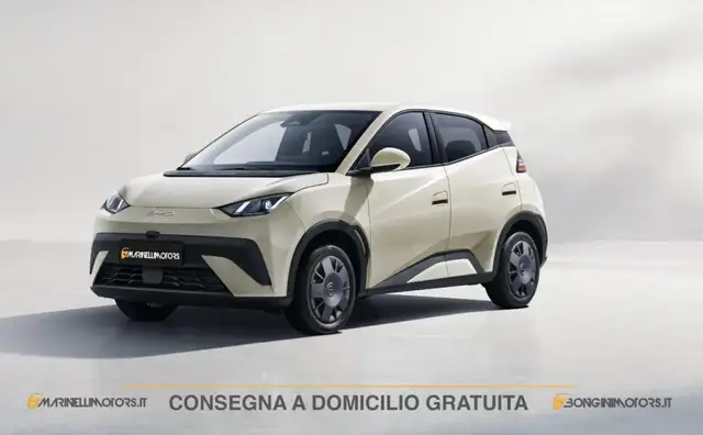 BYD Dolphin Surf