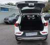 Renault Kadjar TCe 140 EDC Limited AUTOMATIK Weiß - thumbnail 19