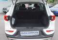 Renault Kadjar TCe 140 EDC Limited AUTOMATIK Blanc - thumbnail 20