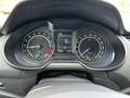 Skoda Octavia Wagon 2.0 TDI 4x4 Blu/Azzurro - thumbnail 9
