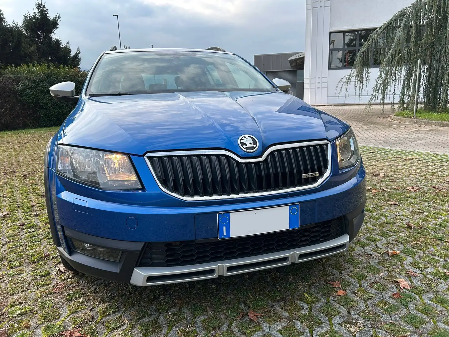 Skoda Octavia Wagon 2.0 TDI 4x4 Blu/Azzurro - 2