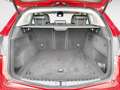 Alfa Romeo Stelvio 2.0 Executive Q4 Aut. 200 Rojo - thumbnail 12