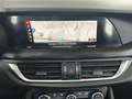 Alfa Romeo Stelvio 2.0 Executive Q4 Aut. 200 Rojo - thumbnail 16