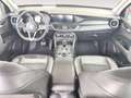 Alfa Romeo Stelvio 2.0 Executive Q4 Aut. 200 Rojo - thumbnail 7