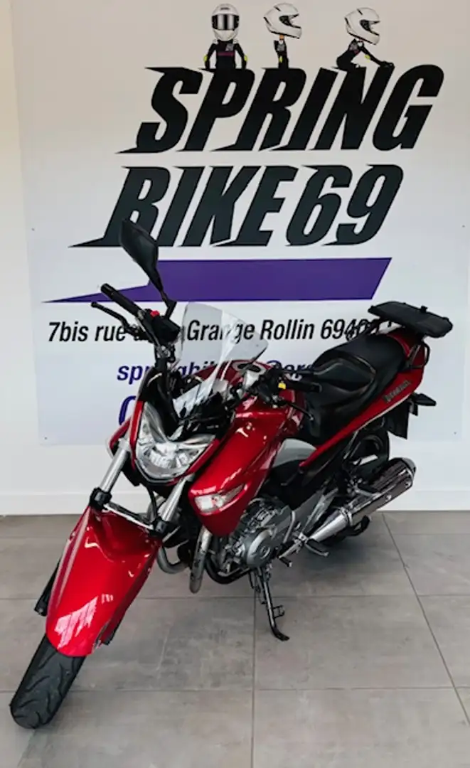 Suzuki Rouge - 2