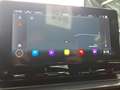 CUPRA Formentor 2.0 TDI Tempo*Nav*PDC*RFK*SH Gri - thumbnail 20