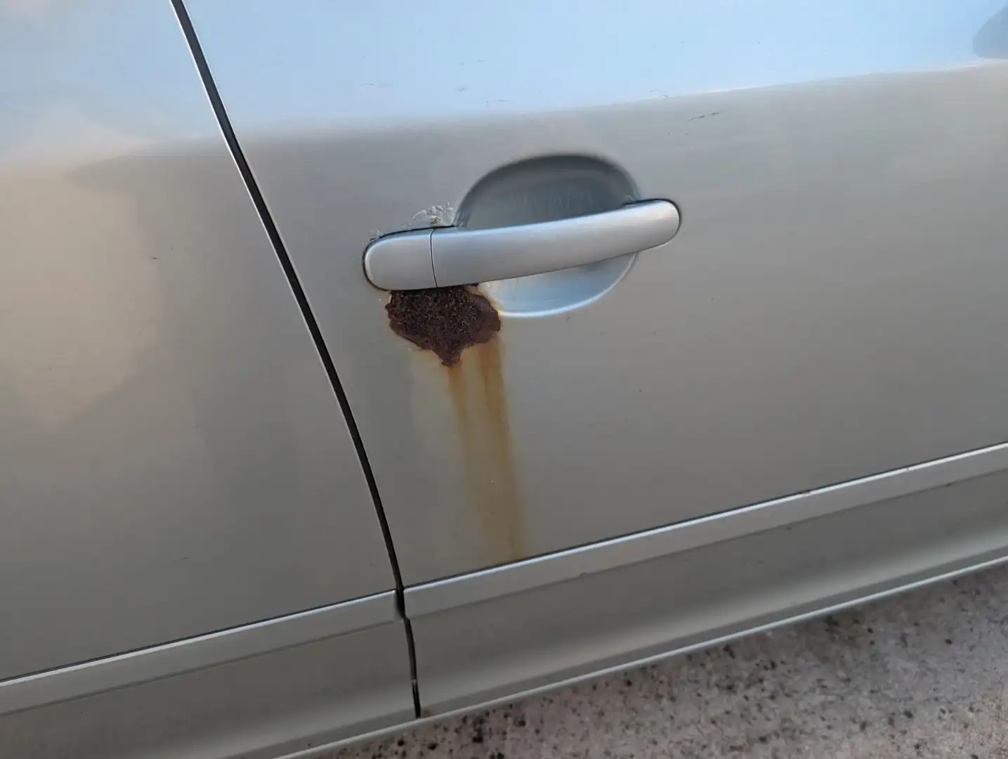 Skoda Octavia Combi Elegance 4X4 Allrad Grün - 2