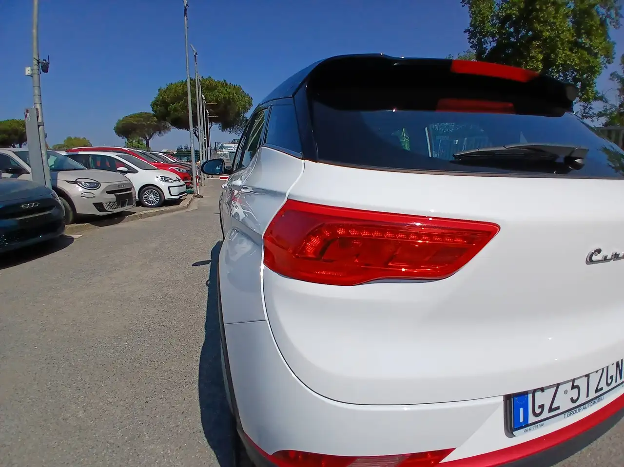 Cirelli Cirelli 2 2025