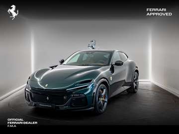 Verde Zeltweg / Full Carbon / Warranty until 2028