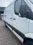 Mercedes-Benz Sprinter 316 CDI (BlueTec) Sprinter 906.733 Weiß - thumbnail 1