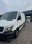 Mercedes-Benz Sprinter 316 CDI (BlueTec) Sprinter 906.733 Weiß - thumbnail 4