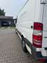Mercedes-Benz Sprinter 316 CDI (BlueTec) Sprinter 906.733 Weiß - thumbnail 3