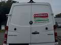 Mercedes-Benz Sprinter 316 CDI (BlueTec) Sprinter 906.733 Weiß - thumbnail 6
