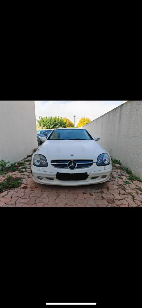 Mercedes-Benz SLK 320 Special Edition ( AMG PACK ) change possible White - 1