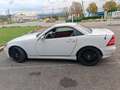 Mercedes-Benz SLK 320 Special Edition ( AMG PACK ) change possible White - thumbnail 3