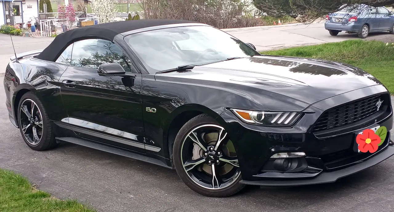Ford Mustang снимка Ford Mustang
