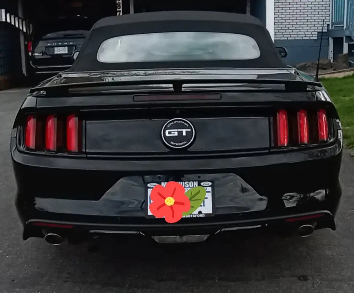 Ford Mustang снимка Ford Mustang
