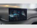 BYD Dolphin Surf Boost 175kW Negro - thumbnail 20