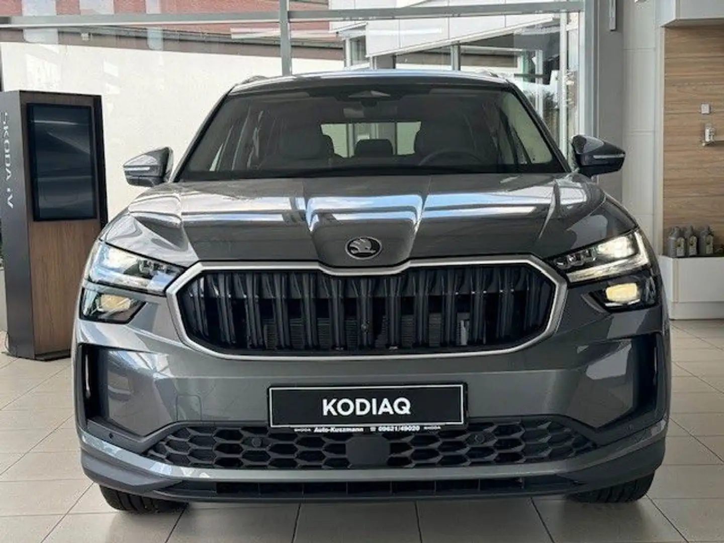 Skoda Kodiaq 4x4 Selection Grau - 2