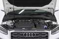 Audi Q2 Q2 2.0 TDI Stronic Business Plus Bianco - thumbnail 11